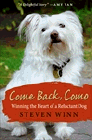 Amazon.com order for
Come Back, Como
by Steven Winn