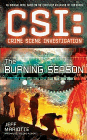 Bookcover of
Burning Season
by Jeff Mariotte