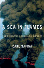 Bookcover of
Sea In Flames
by Carl Safina