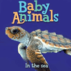 Amazon.com order for
Baby Animals In the Sea
by Kingfisher