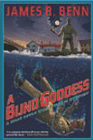 Bookcover of
Blind Goddess
by James Benn