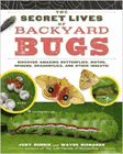 Bookcover of
Secret Lives of Backyard Bugs
by Judy Burris