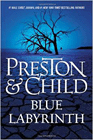 Amazon.com order for
Blue Labyrinth
by Douglas Preston