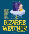 Bookcover of
Bizarre Weather
by Joanne O'Sullivan