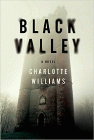 Bookcover of
Black Valley
by Charlotte Williams