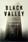 Bookcover of
Black Valley
by Charlotte Williams