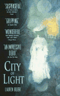 Amazon.com order for
City of Light
by Lauren Belfer