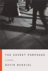 Bookcover of
Secret Purposes
by David Baddiel