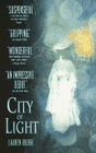 Amazon.com order for
City of Light
by Lauren Belfer