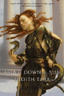 Bookcover of
Bring Down the Sun
by Judith Tarr